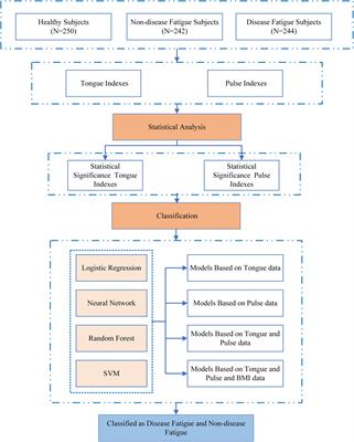 A New Approach of Fatigue Classification Based on Data of Tongue and Pulse With Machine Learning